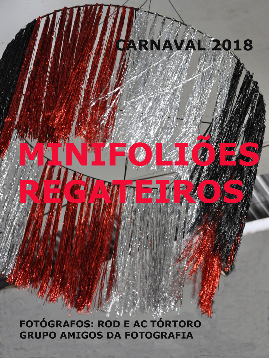 EXPOSIÇÃO FOTOGRÁFICA “MINIFOLIÕES REGATEIROS”