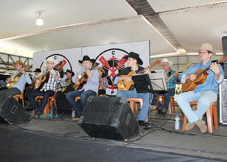 Apresentação Grupo de Violeiros