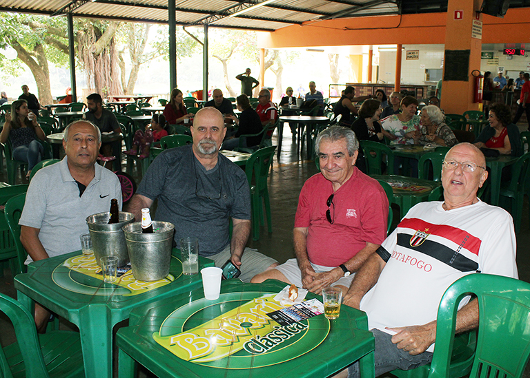 Apresentação Grupo de Violeiros