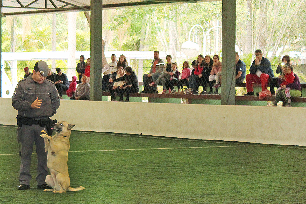 Apresentação do Canil da Polícia Militar