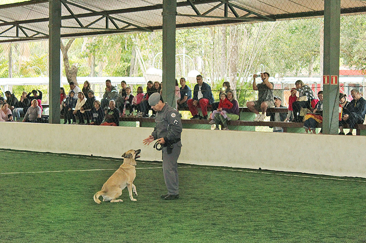 Apresentação do Canil da Polícia Militar