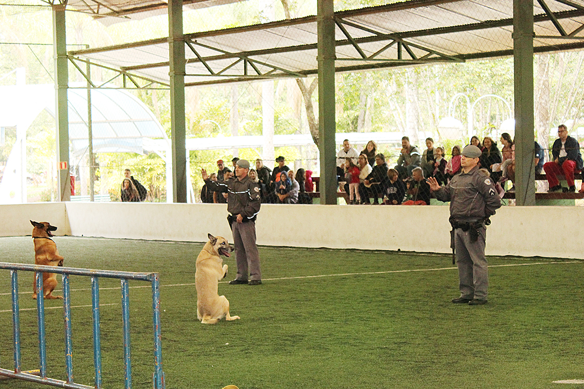 Apresentação do Canil da Polícia Militar