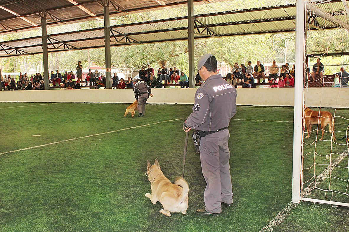 Apresentação do Canil da Polícia Militar