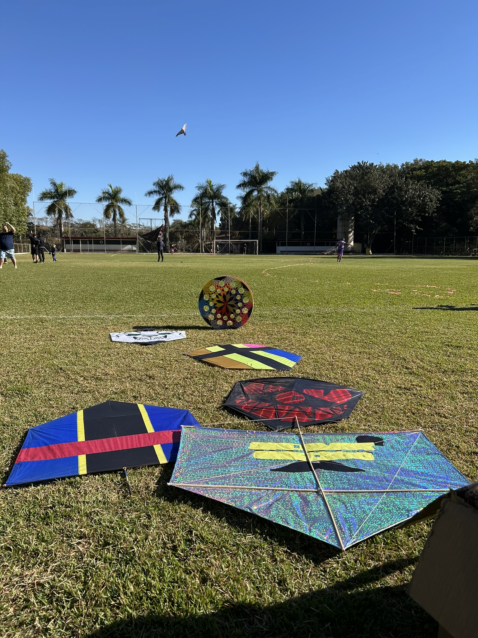 Festival de Pipas 2025